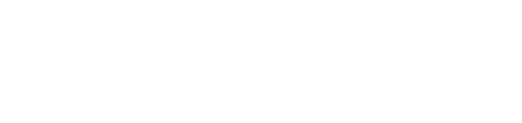 logo website